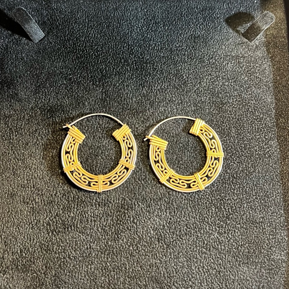 Elegant Two Tones Hoop Earrings